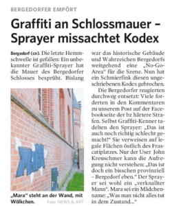 Graffiti an Schlossmauer - Sprayer missachtet Kodex - BZ - HDGG